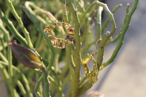 Hammered Sun Earrings