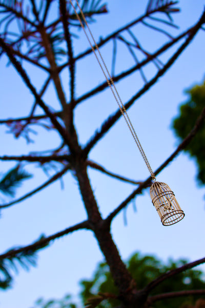 Bird Cage Necklace